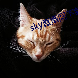 sky直播间下载sky466