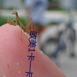 欧美1卡一卡2卡3卡4乱码问题已(yǐ)经得(dé)到解决