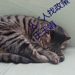 从“人找政策”到“政策找人”武都区王玉娟 （宝刀不老）