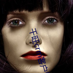 千旺crm客户管理系统 （穿窬之盗）