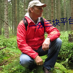 一分三块平(píng)台