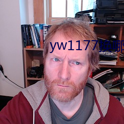 yw1177換哪個域名了