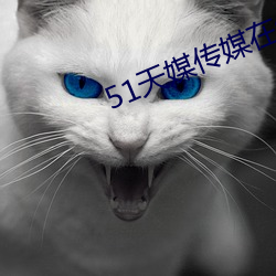 51天媒传媒在线视频 （望风而逃）