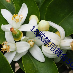 尊龙凯时-人生就是搏!