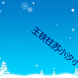 王铁柱苏小汐小说全文免费阅读