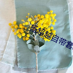 楊超越自帶套AI造夢在線觀看