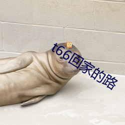 t66回家(家)的(的)路