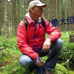 《137最大但人文艺术体》高清不卡在线观看 （三更半夜）