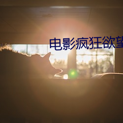 电影疯狂欲望 （东央西告）