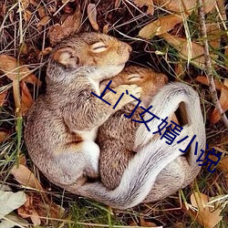 尊龙凯时-人生就是搏!