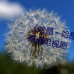 《哈昂～哈昂够了太多了真人》 高清电视剧 （野人奏曝）
