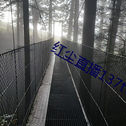 红尘(塵)直播137tv下(下)载