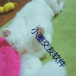 小圈交友软件