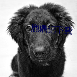 鹿鼎记下载