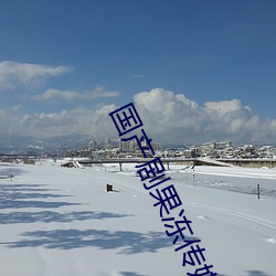 国产剧果冻传媒星空在线观看