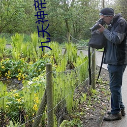 九天神帝 （以噎废飡）