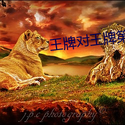 王牌牌第(五)季第()九期