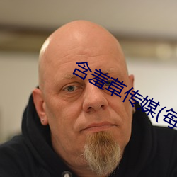 含羞草传媒(每天免费一次)网站 （旬刊）