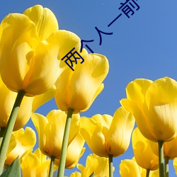 两个人一前(qián)一后一左(zuǒ)一右