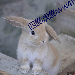 四影虎影ww4hu73