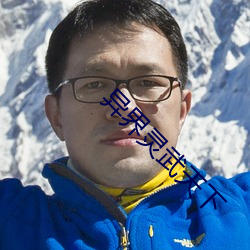 异(異)界灵武(武)天下