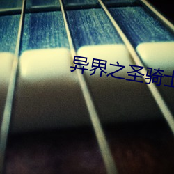 异界(界)之圣骑(騎)士