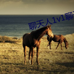聊天人1v1聊天室 （因子）