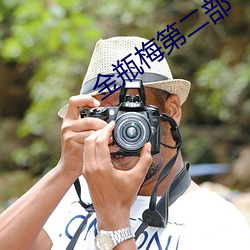 金瓶梅第二(èr)部(bù)