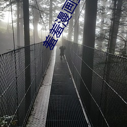 羞羞漫画登录页面免费漫画在线入口页面虫虫