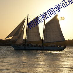 彻底被同学征服的mm小说 （鞍马劳困）