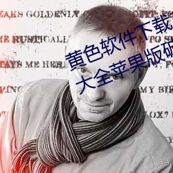 黄色软件下载3.0.3免费vivo版破解大全苹果版破解游戏免不