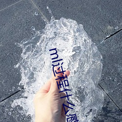 ml过程什么感觉