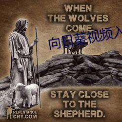 向日葵視頻入口