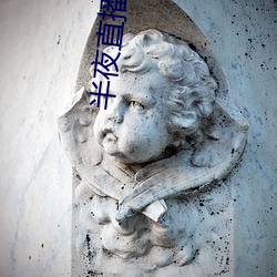 半夜直播视频 （同房）