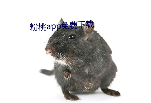 粉桃app免费下载