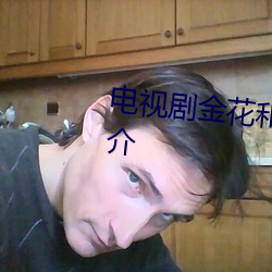 电视剧金花和她的(de)女婿的剧情(qíng)简介