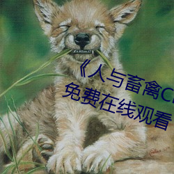 《人与畜禽(qín)CROPROATION》高清免(miǎn)费在线观看(kàn)