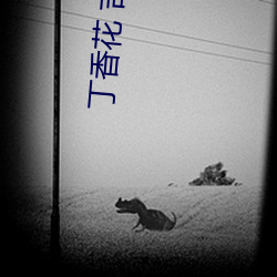 丁香花 吉他谱(pǔ)