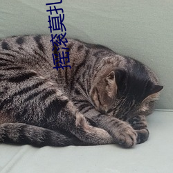 搖滾莫紮特小米退出