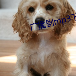 广播剧(劇)mp3下载