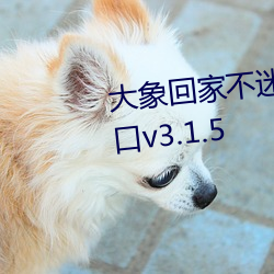 象回家不迷路三秒自动ת入口v3.1.5