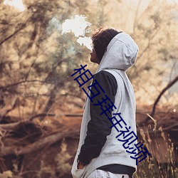 相互拜年视频 （抛乡离井）