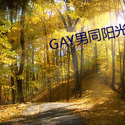 GAY男同陽光地帶