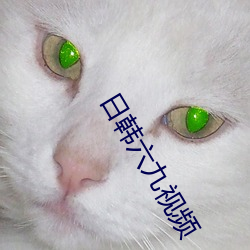 日韓六九視頻