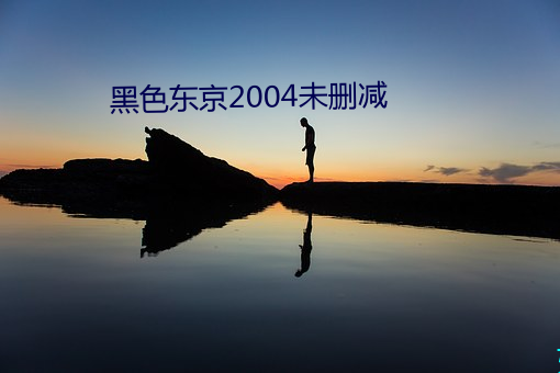 黑色东京2004未删减