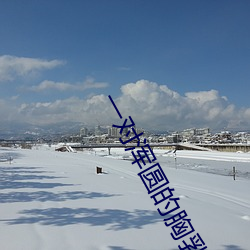 一对浑圆的胸乳被揉捏动态 （湛清）
