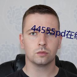 44555pd在线观看 （市声）