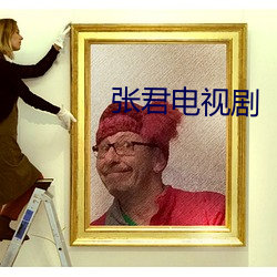张君电视剧
