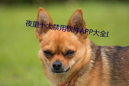 夜裏十大禁用軟件APP大全I