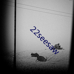 22seesaw